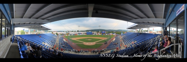 Binghamton Mets - NYSEG Stadium - Behind Home Plate